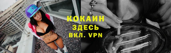 индика Куйбышев
