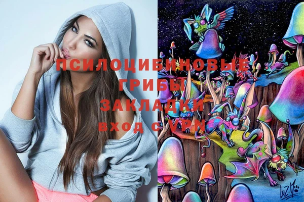 индика Куйбышев