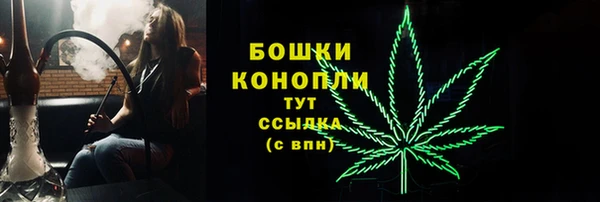 тгк Великий Новгород