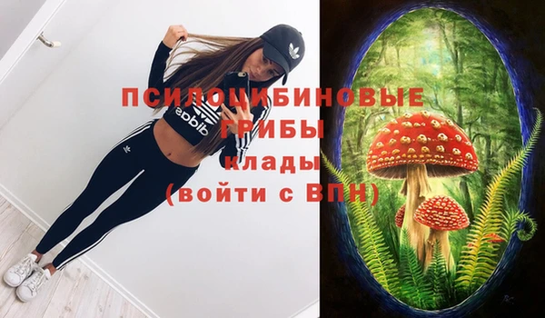 индика Куйбышев
